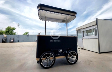 Ice cream cart for sale America